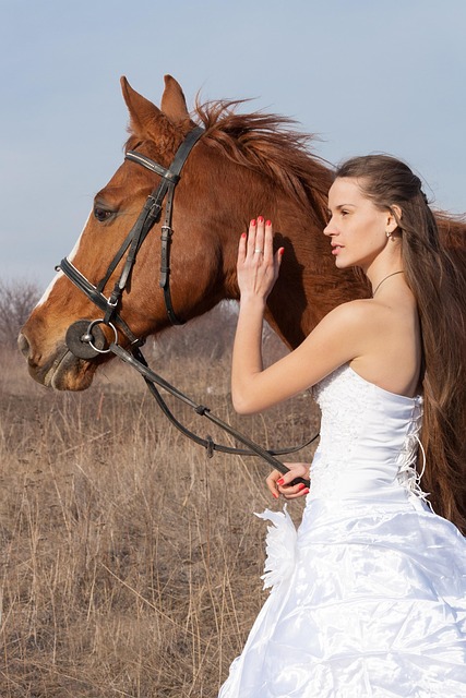 horse-2141038_640