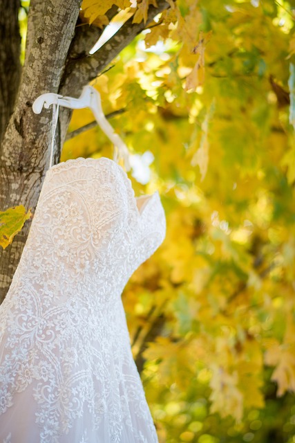 wedding-3013447_640